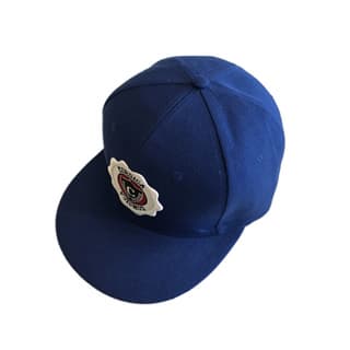 Customized Embroidery Logo Blue Snapback Caps
